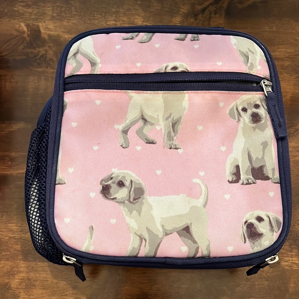 Lunchboxes- pottery barn!